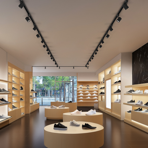 Architectural Indoor Track Monopoint